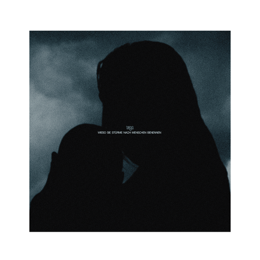 VEGA - WSSNMB Vinyl